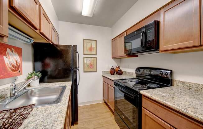 Copper Stone Kitchen Full View Apartments in Colorado Springs, CO