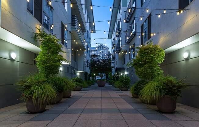 Stunning courtyards at Tera Apartments, Washington, 98033