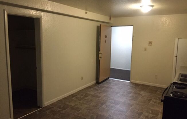 1 bed, 1 bath, 459 sqft, $785, Unit 1121-307