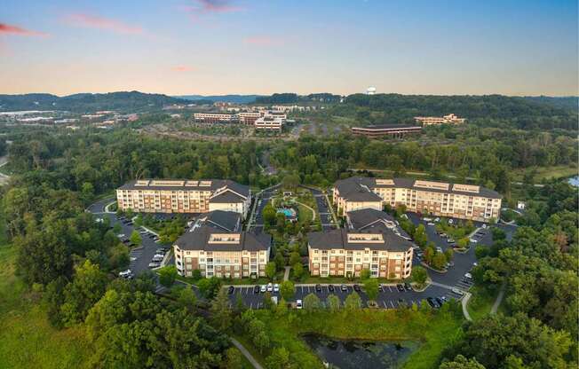 Bird's-eye View - Community