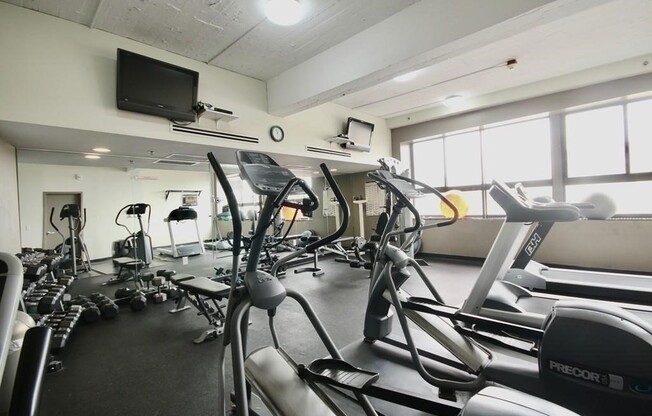 1 bed, 1 bath, 400 sqft, $2,950, Unit 512