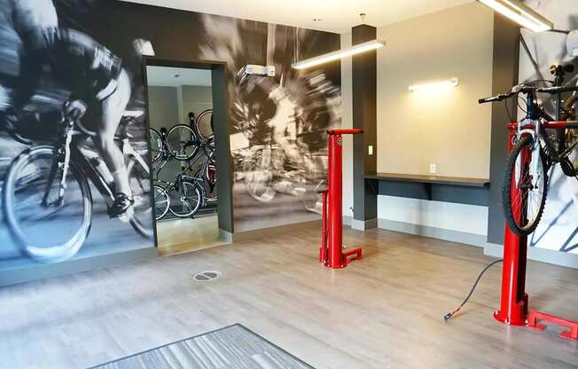 Bicycle Storage