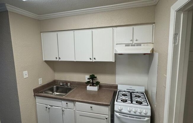 Studio, 1 bath, 325 sqft, $1,000, Unit 239A