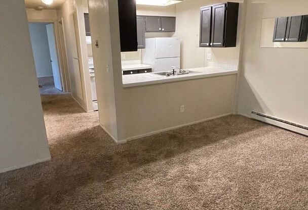 2 beds, 1 bath, $1,500