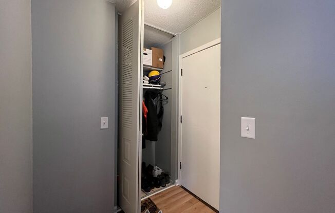 1 bed, 1 bath, 550 sqft, $1,195, Unit 302