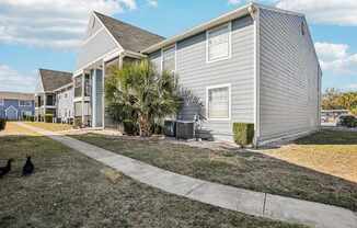 A house with a grey siding and a palm tree in front.