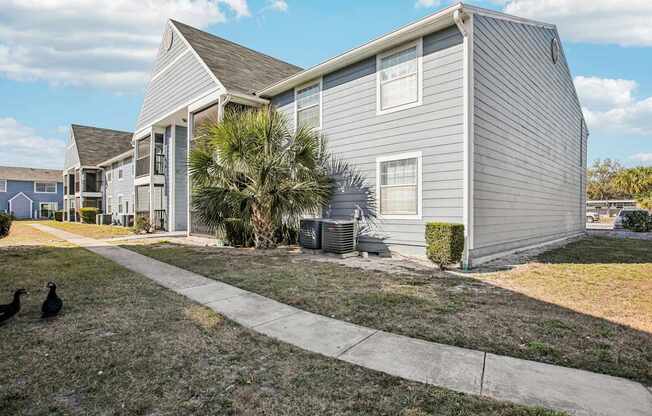 A house with a grey siding and a palm tree in front.
