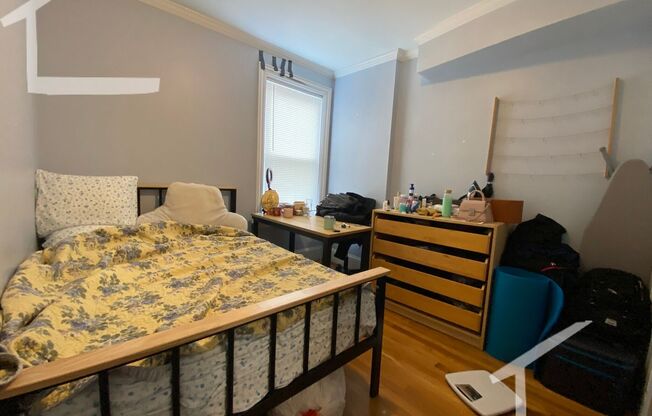 Spacious 4-bed, 2-bath in Allston - Laundry in Unit!
