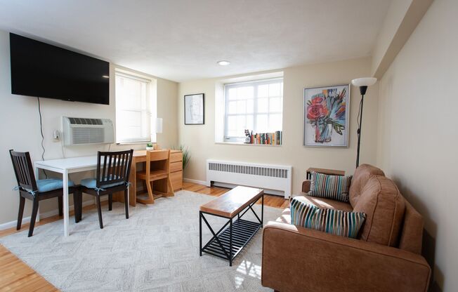 Large 1 bedroom Heat, Hot Water and WIFI Included, 2 blocks from Elm Park in WPI South Village