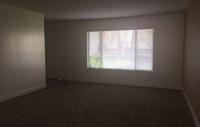 Clean Marie Antoinette unit! Recent updates make this the perfect Fig Garden Village area apartment. Do not disturb Resident.