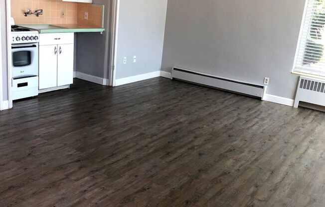 Studio, 1 bath, 429 sqft, $1,025, Unit 4A