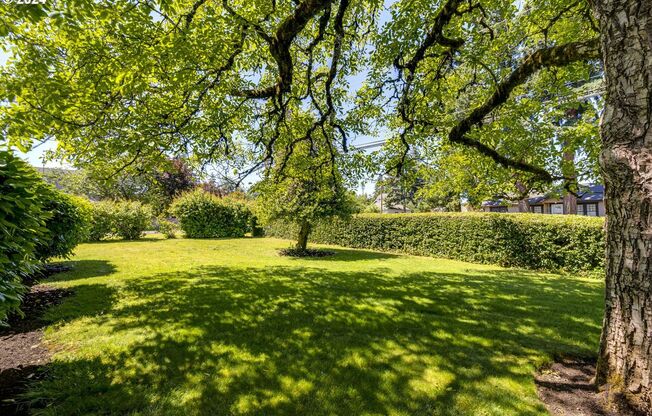 Historic 4-Bedroom Stone Home with Timeless Character, Hardwood Floors, Spacious Living & a Large Private Yard