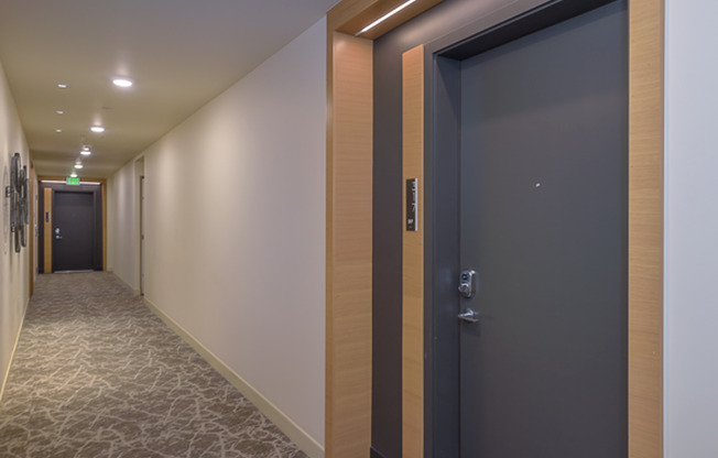 1 bed, 1 bath, 556 sqft, $2,699, Unit 517