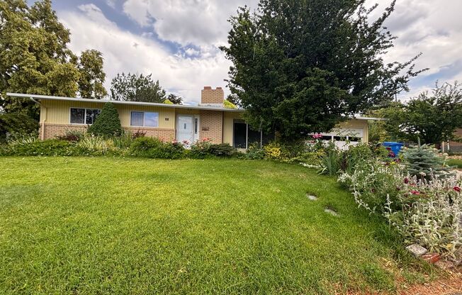 Great University Area Home!