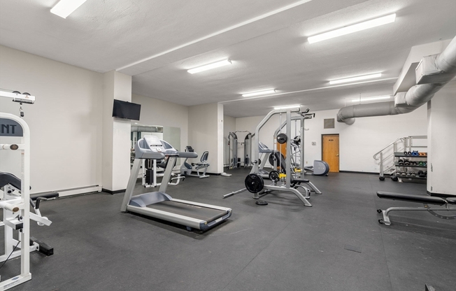 Studio, 1 bath, 455 sqft, $2,200, Unit D16