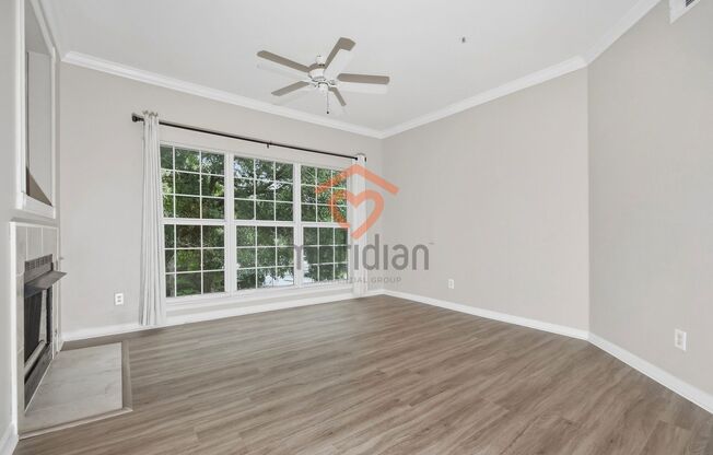 1 bed, 1 bath, $1,590