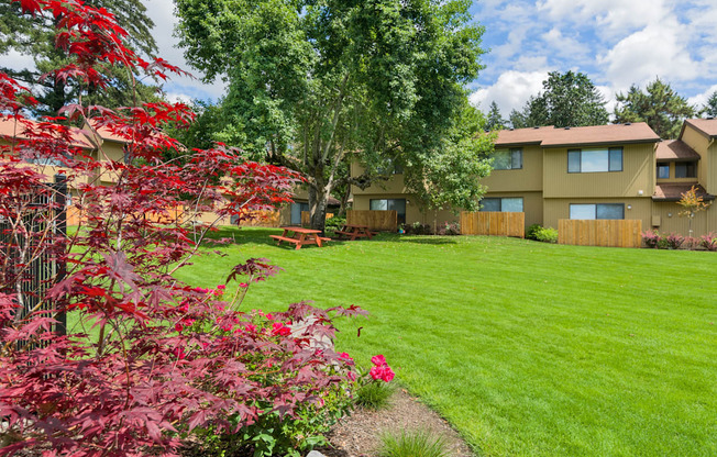 a green lawn in front of an apartment building