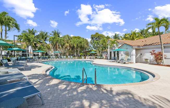 A pool surrounded by palm trees and sun loungers.