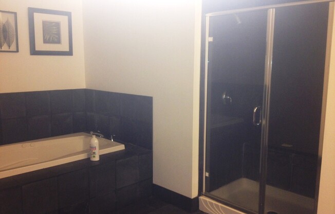 2 Bedroom Loft at Loft 5!