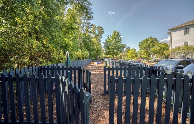 A long row of black picket fences line a tree-lined street.