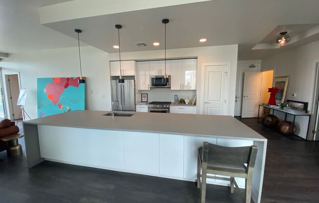 Large 2 bedroom 2 1/2 bath condo at One Lincoln Park