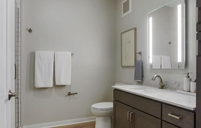 a bathroom with gray walls and a wooden floor