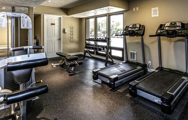 a gym with treadmills and weights on the floor and windows