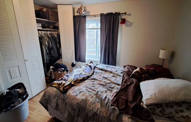 1 bed, 1 bath, 550 sqft, $1,175, Unit 301