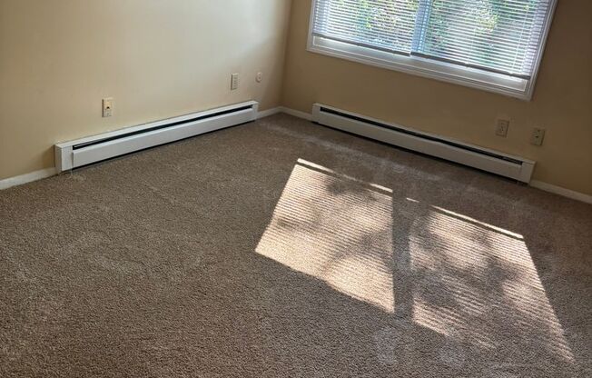 Studio, 1 bath, $895, Unit 36