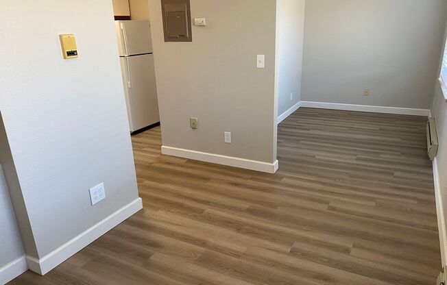 Studio, 1 bath, 441 sqft, $1,250, Unit 202
