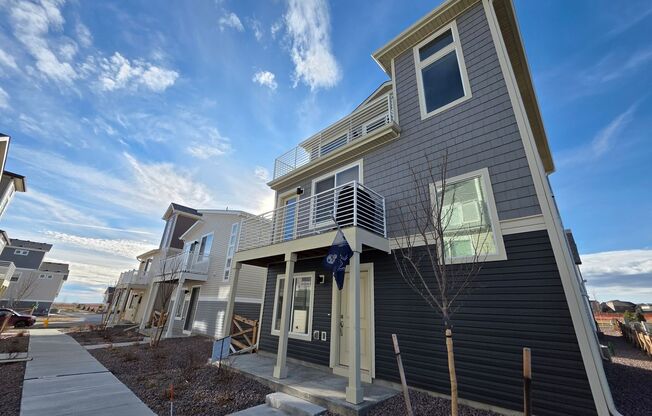 Stunning New Home Build in Beautiful Banning Lewis Ranch!!!