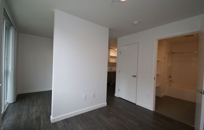 Studio, 1 bath, 367 sqft, $1,425, Unit 113 NEW