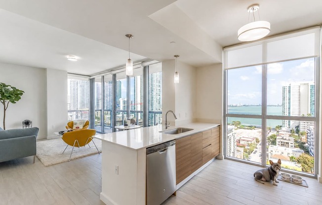 A dog is sitting on the floor in a modern kitchen with a view of the city.