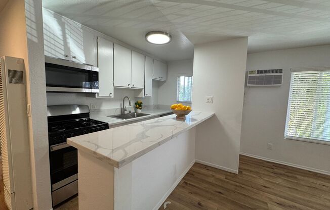 Studio, 1 bath, 500 sqft, $1,625, Unit 045#46