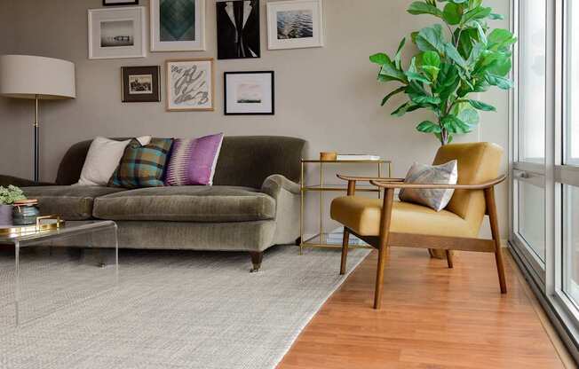 A living room with a grey couch, a yellow chair and a green plant.