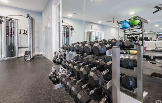 a gym with a rack of dumbbells in it