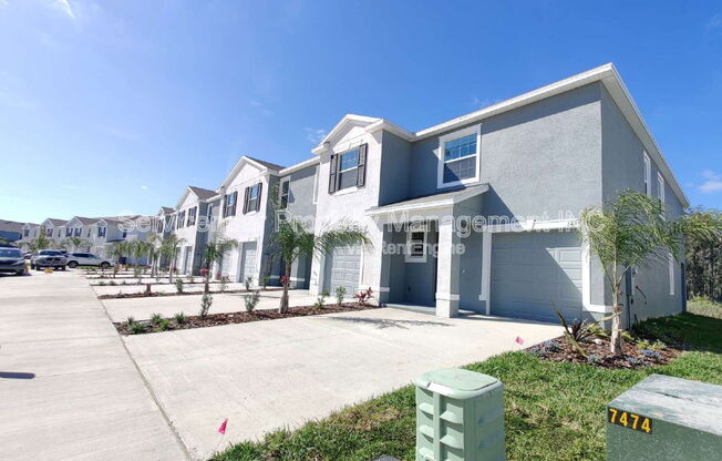 32223 TURTLE GRACE LOOP