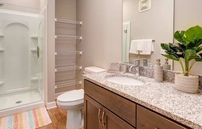 a bathroom with a sink and a toilet and a shower