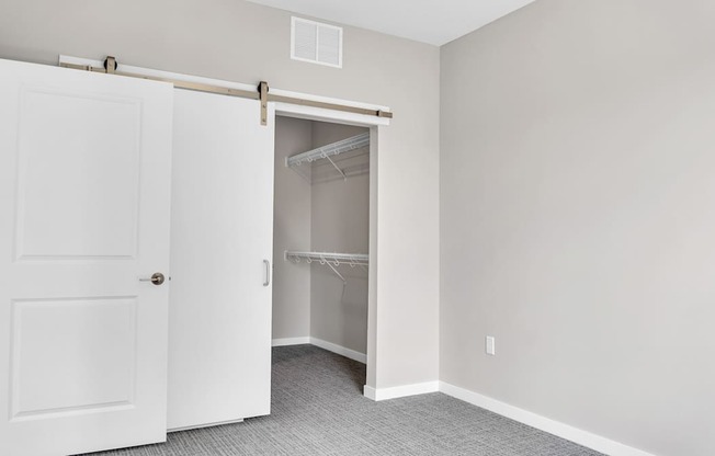 A white door is open to a walk-in closet.