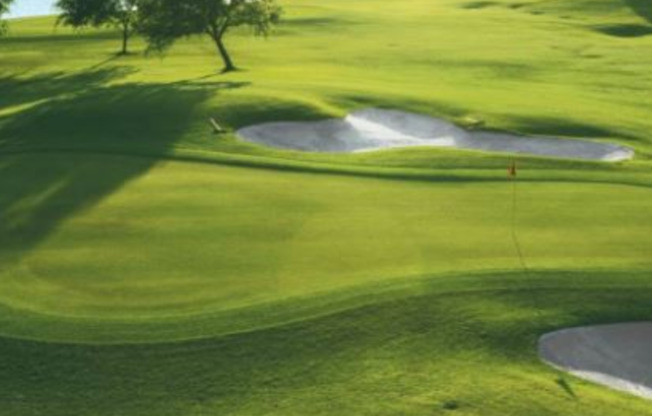 Palatka Golf Club