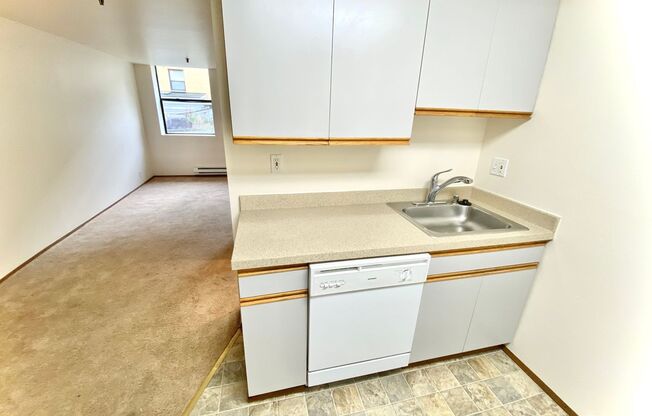 1 bed, 1 bath, 586 sqft, $1,395, Unit 101