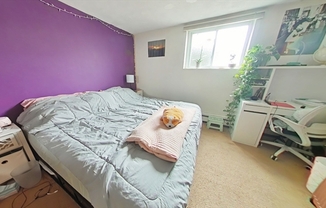 1 bed, 1 bath, 575 sqft, $2,300, Unit 1