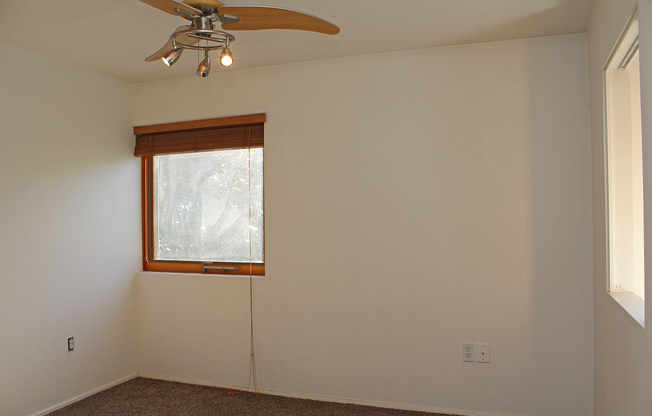 3 beds, 2 baths, $2,595