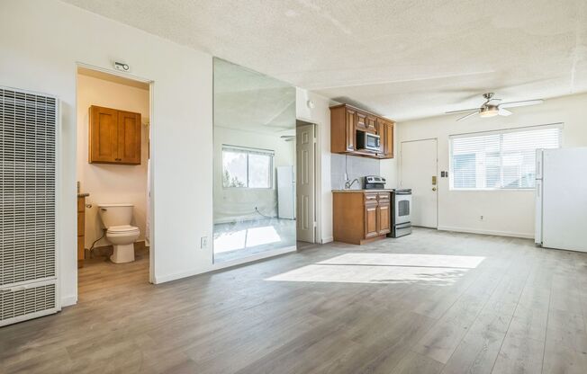 Studio, 1 bath, 250 sqft, $1,335, Unit 17