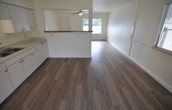 Amazing South Austin home!