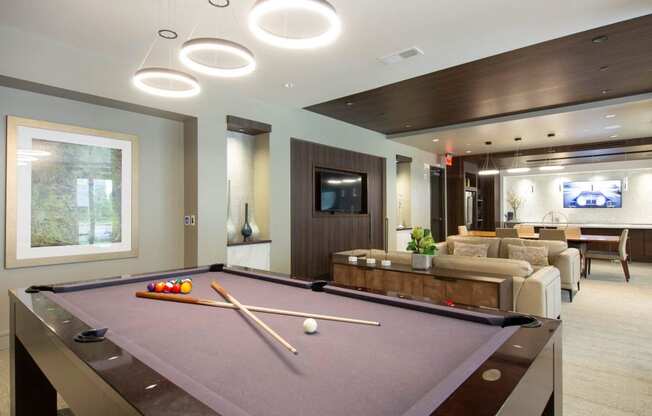 Arabelle Perimeter Luxury Apartments in Atlanta, GA 30328 photo of a game room with a pool table and a tv