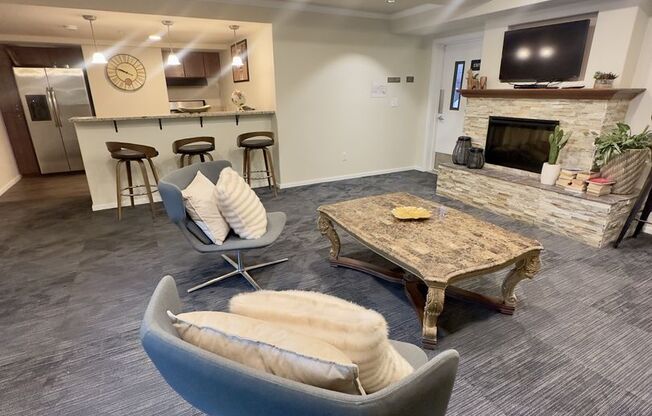 Studio, 1 bath, 165 sqft, $1,095, Unit 356