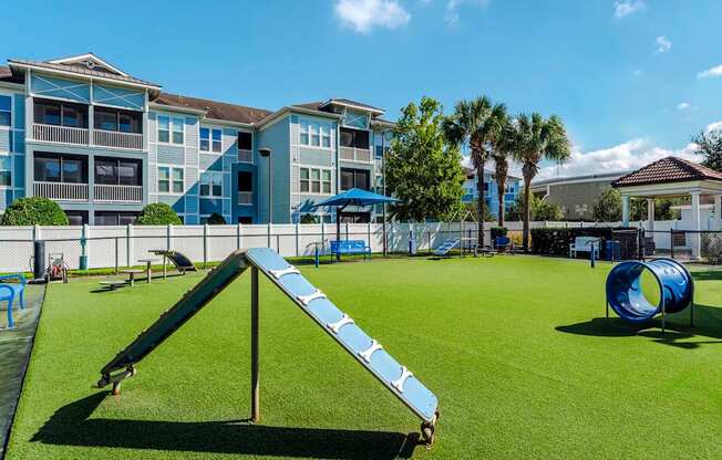 Large community dog park with play structures near blue buildings