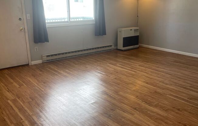 1 BR/1 B near shopping center, UMED, and the Military base JBER.