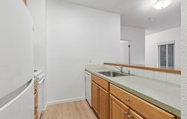 Studio, 1 bath, 360 sqft, $1,188, Unit 205